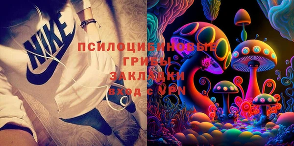 сатива Алексин