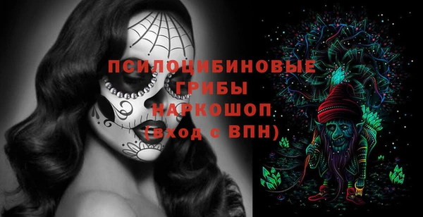 амф Семилуки