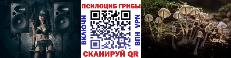 Псилоцибиновые грибы Psilocybe Балашиха