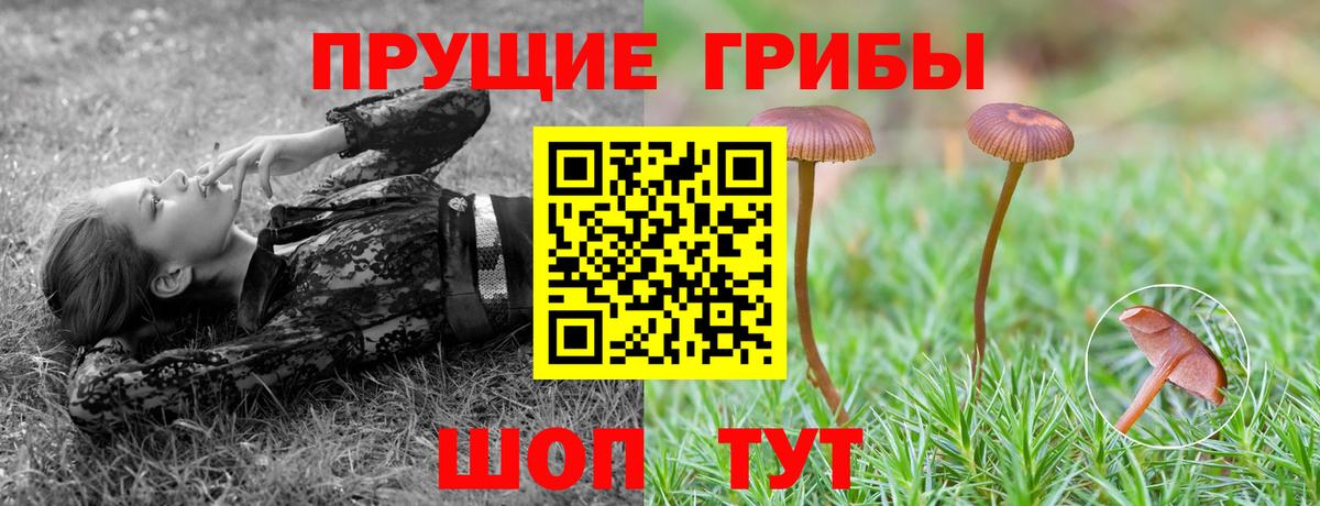 Галлюциногенные грибы прущие грибы Балашиха