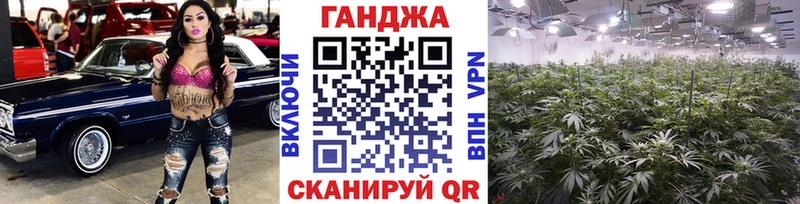 Бошки марихуана марихуана  Балашиха 